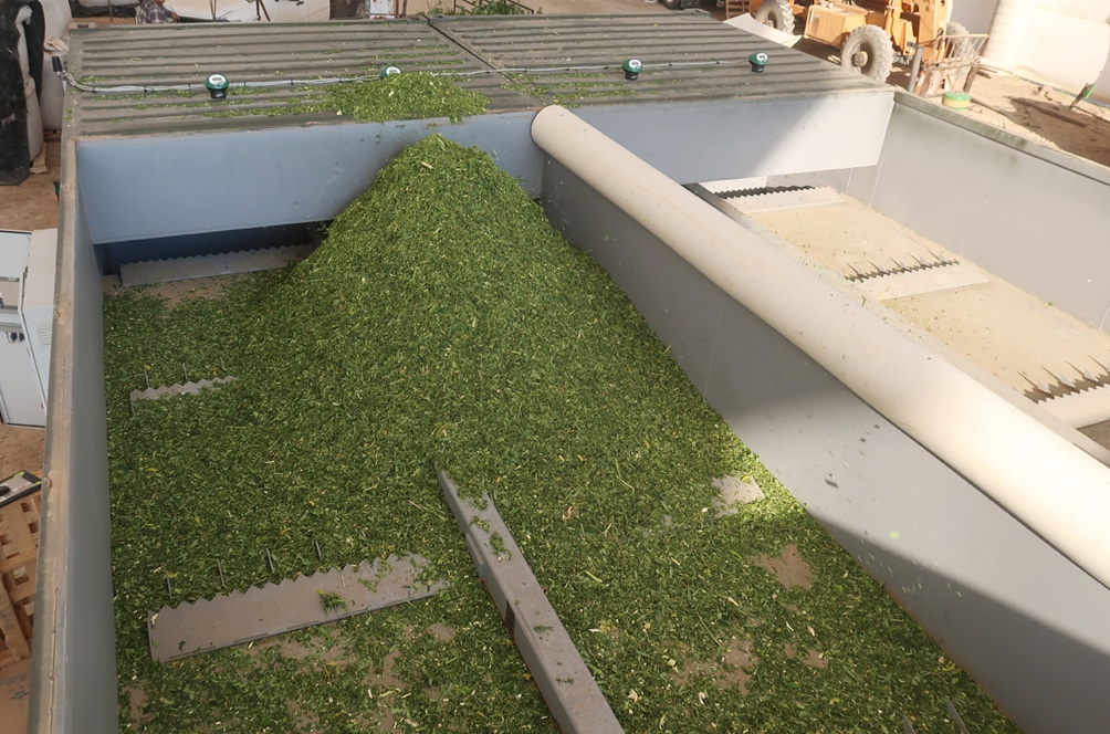 Hemp Growers Investing in Stronga Drying Equipment Can Avoid Crisis’ of ...